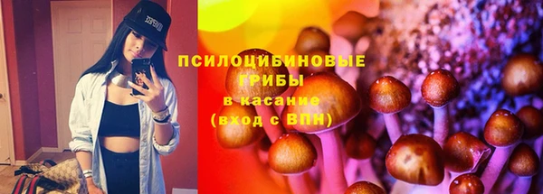 каннабис Бородино