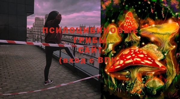 spice Бугульма