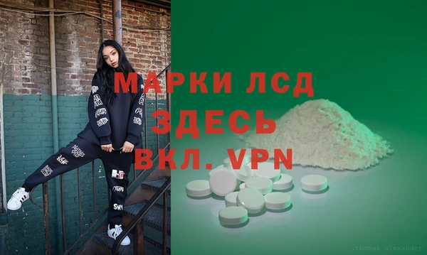 молекула духа Снежногорск