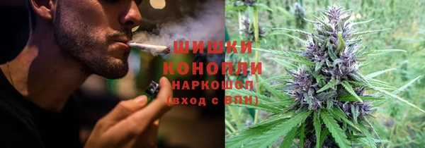 spice Бугульма