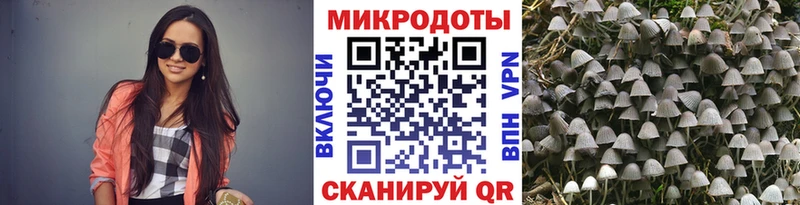 Псилоцибиновые грибы Cubensis  Междуреченск 